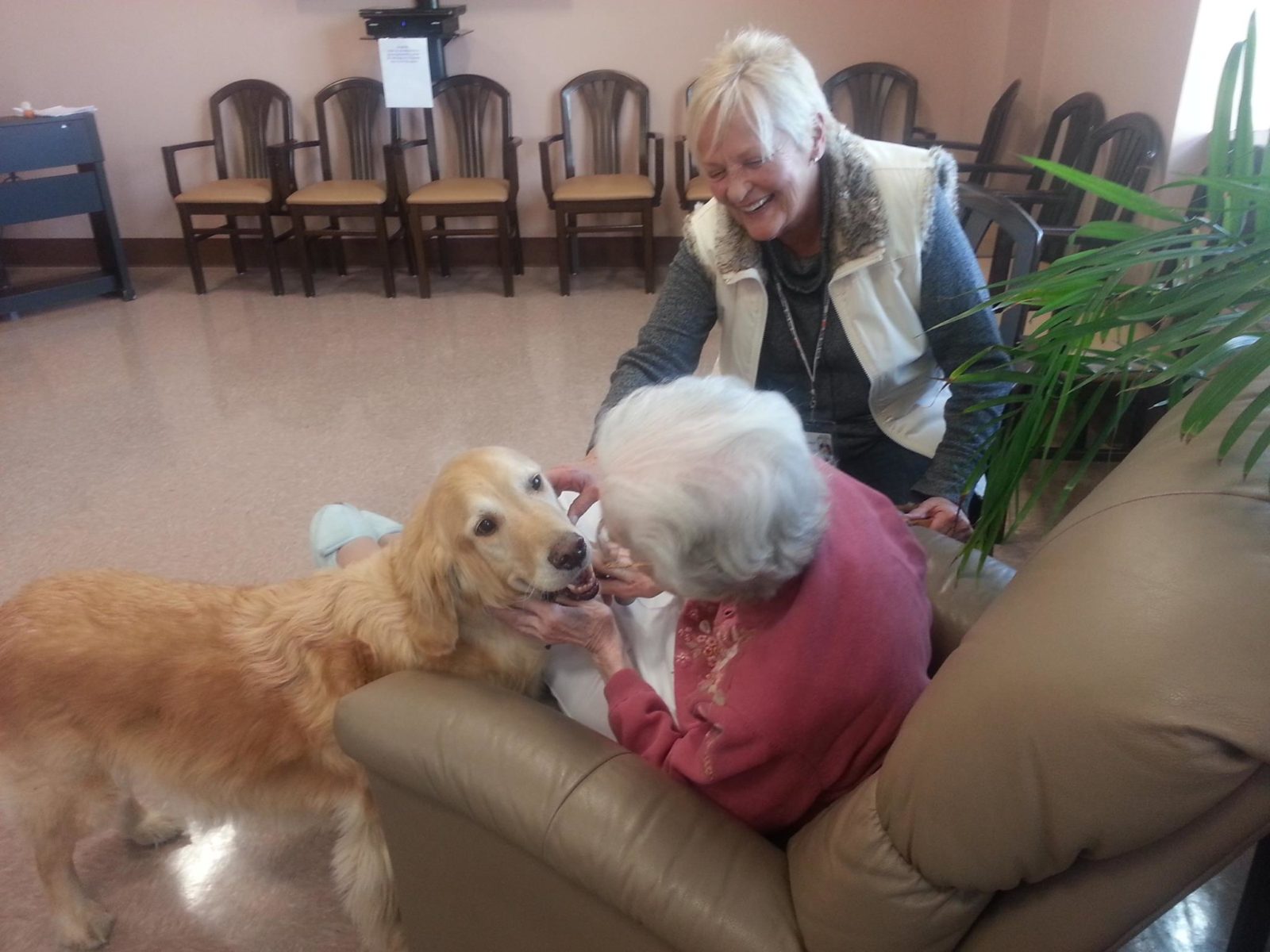 Bideawee Pet Therapy