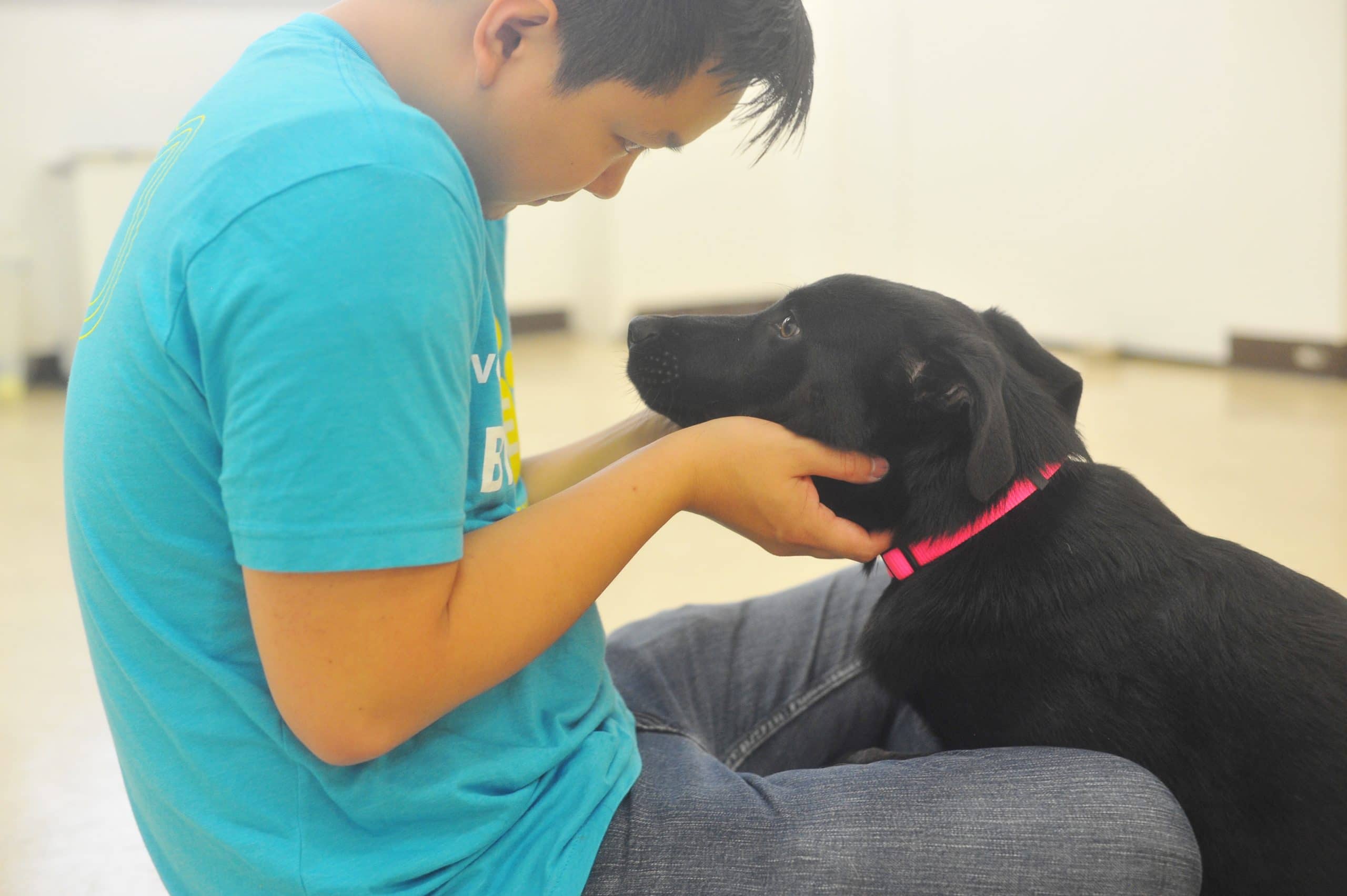 volunteer looking into the eyes of a dog