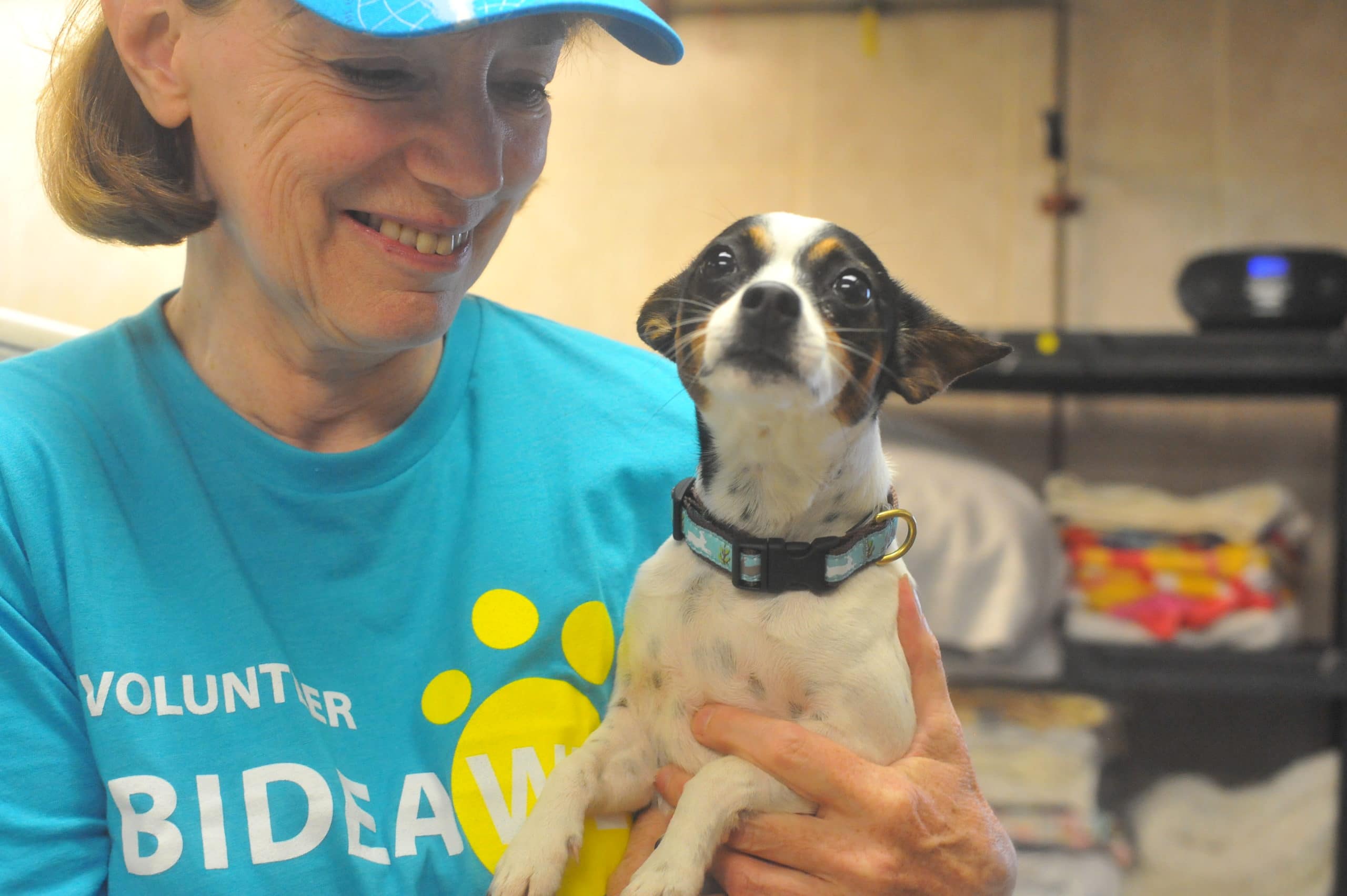 volunteer smiling holding a puppy