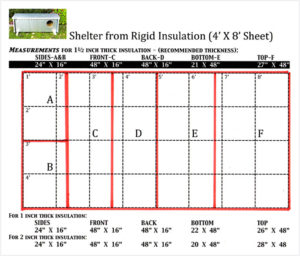cat shelter using 1 inch foam insulation. 2 inch drywall screws