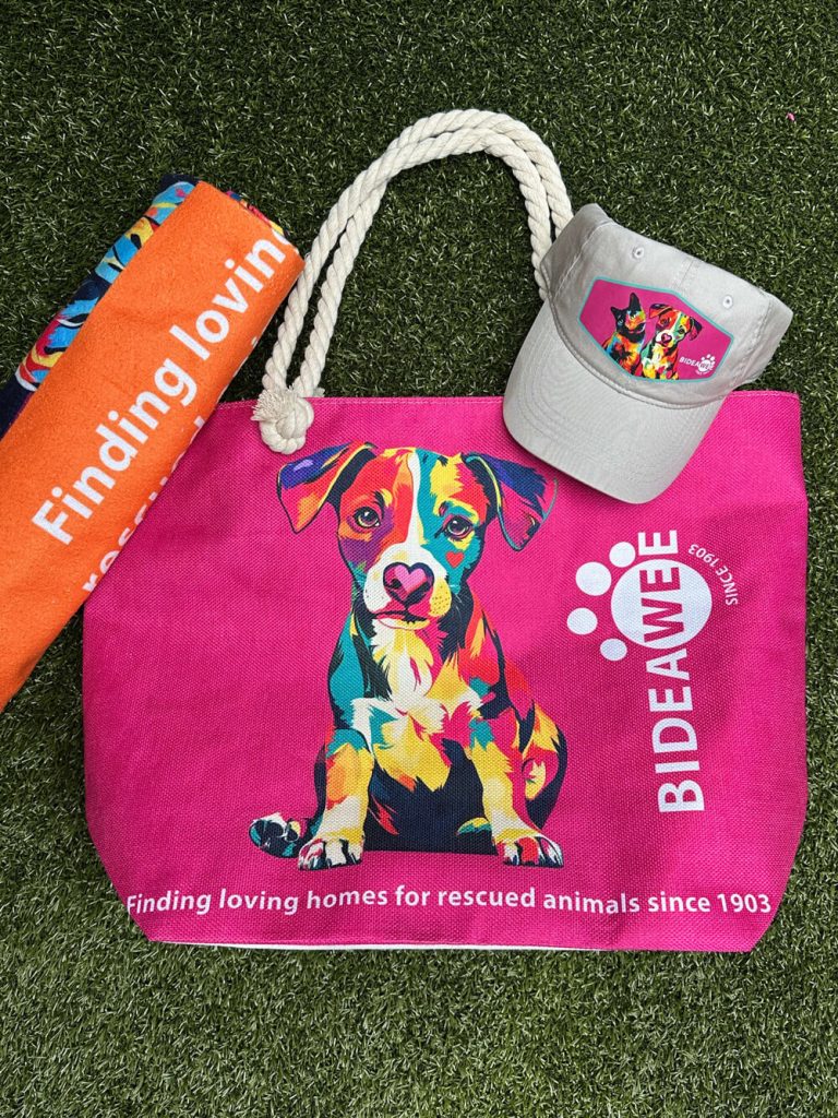 Bideawee Beach Bundle