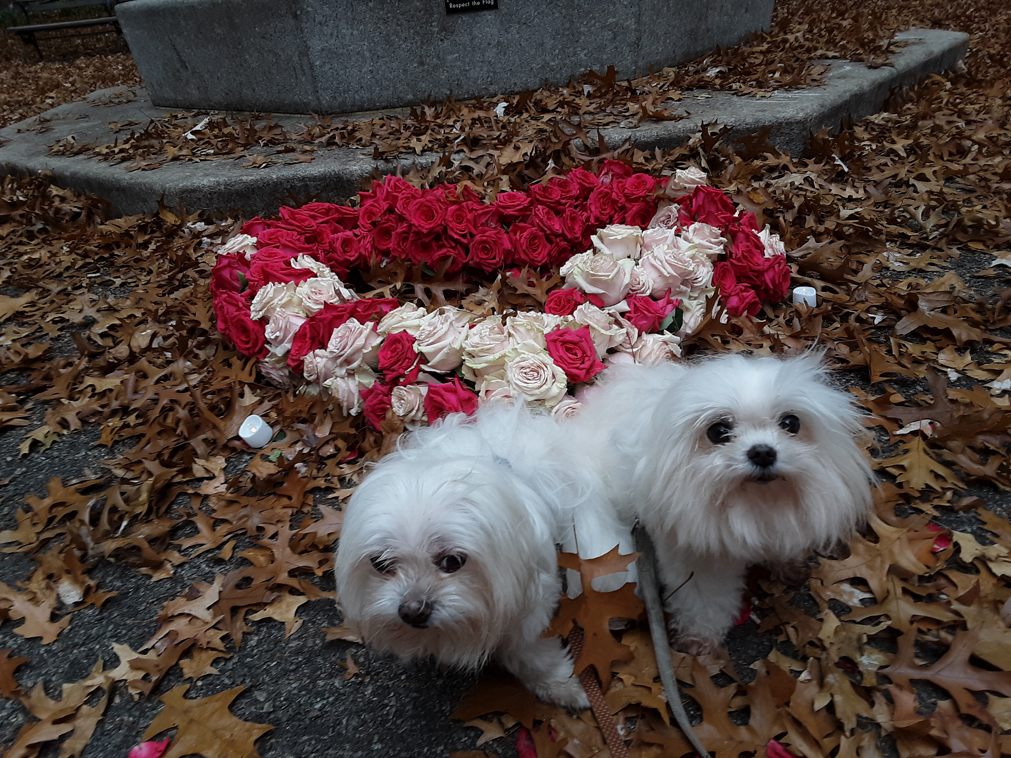 Lacey and Rudy