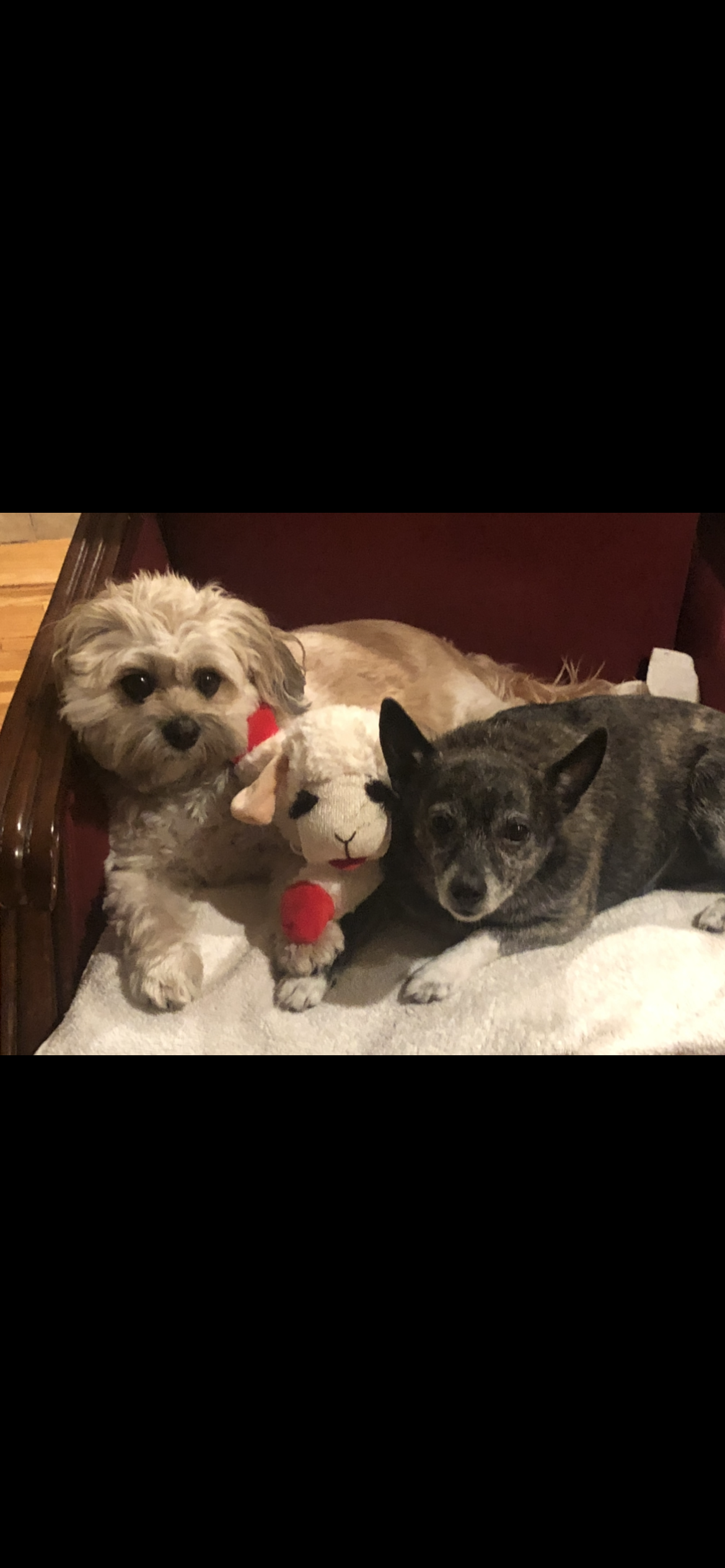 Savanna & Lily