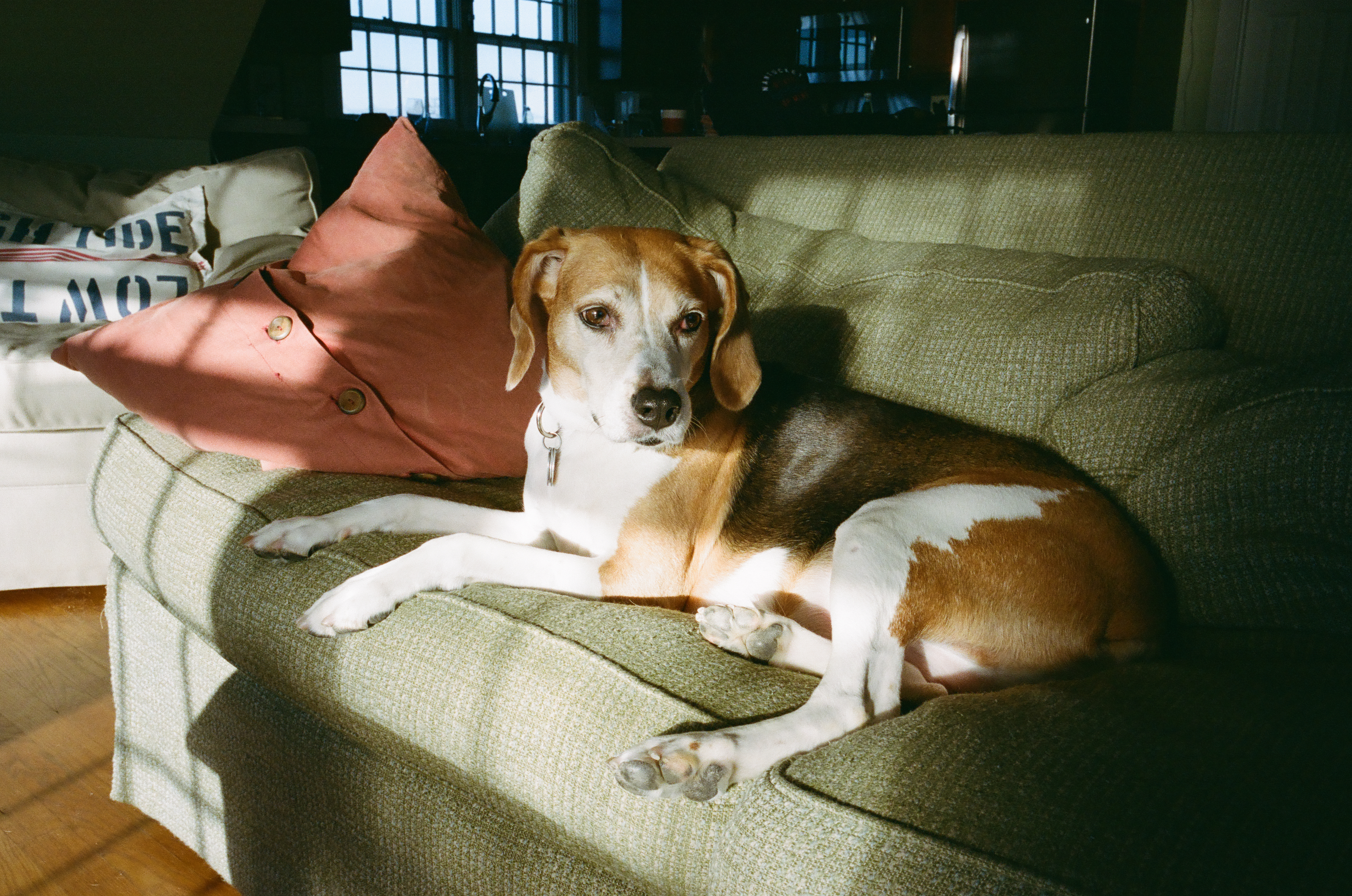 Lola Snyder