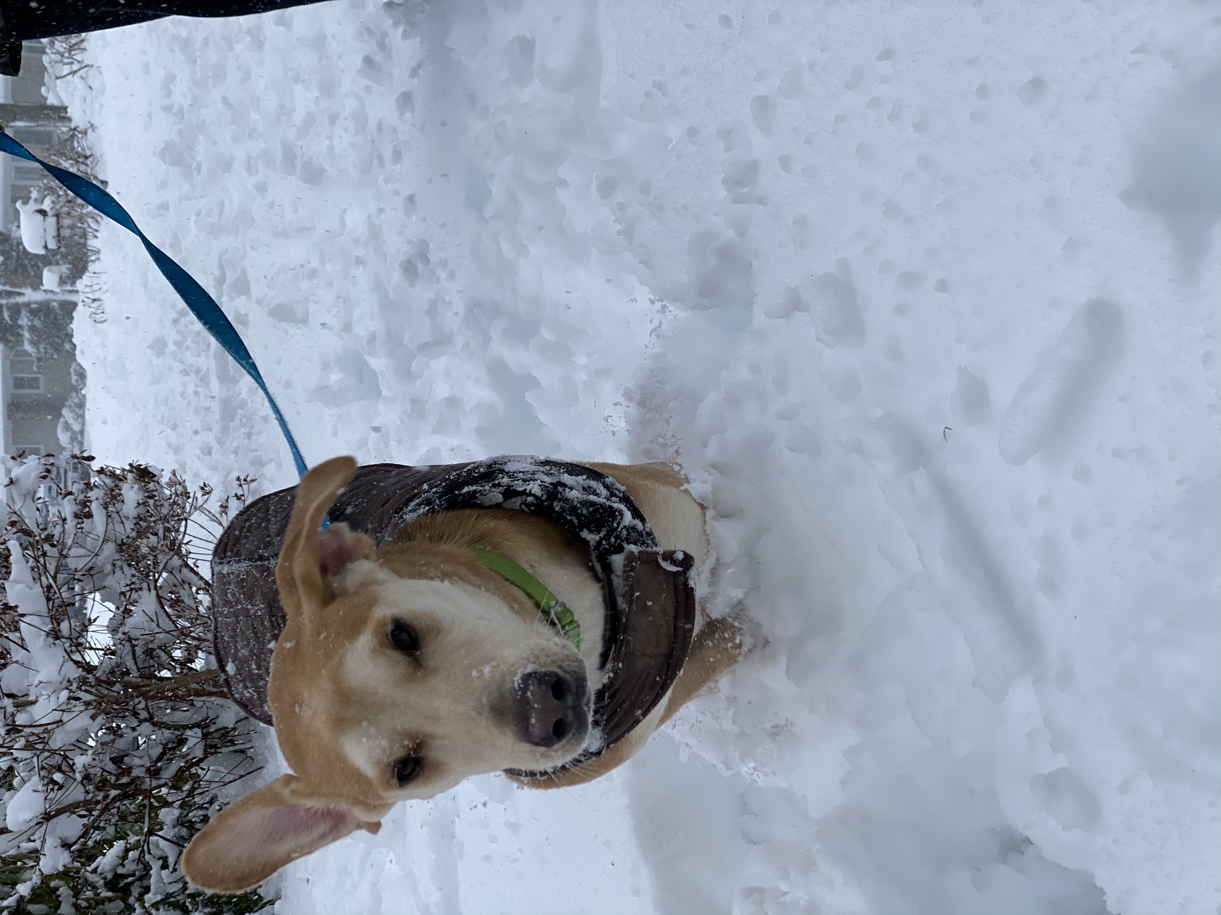 Charlie