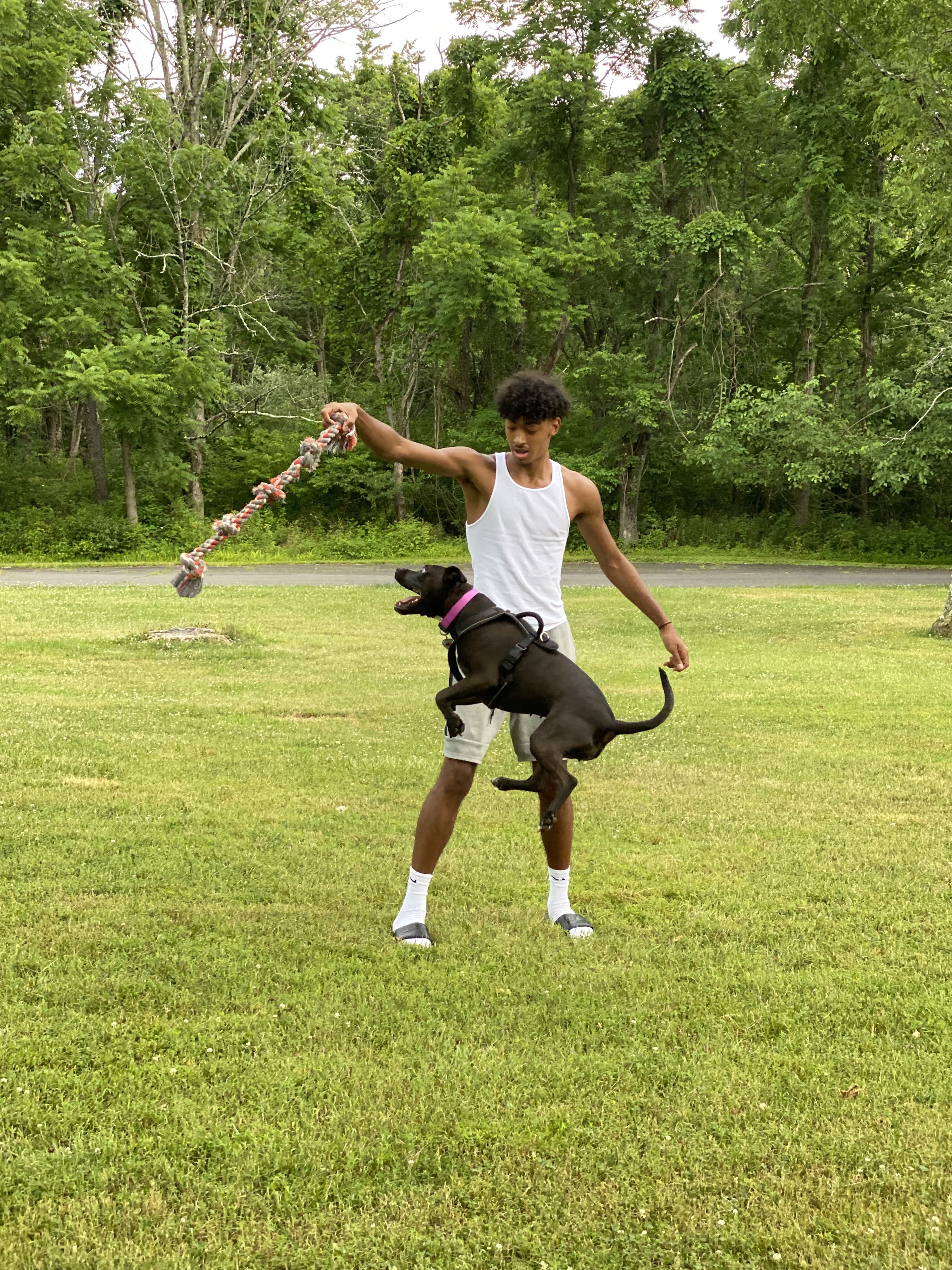 Zorah