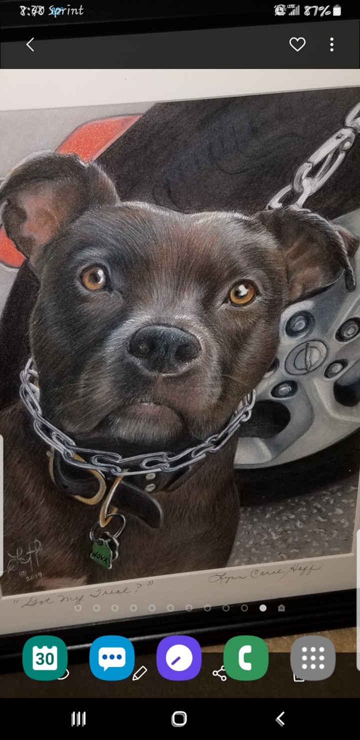 Nova