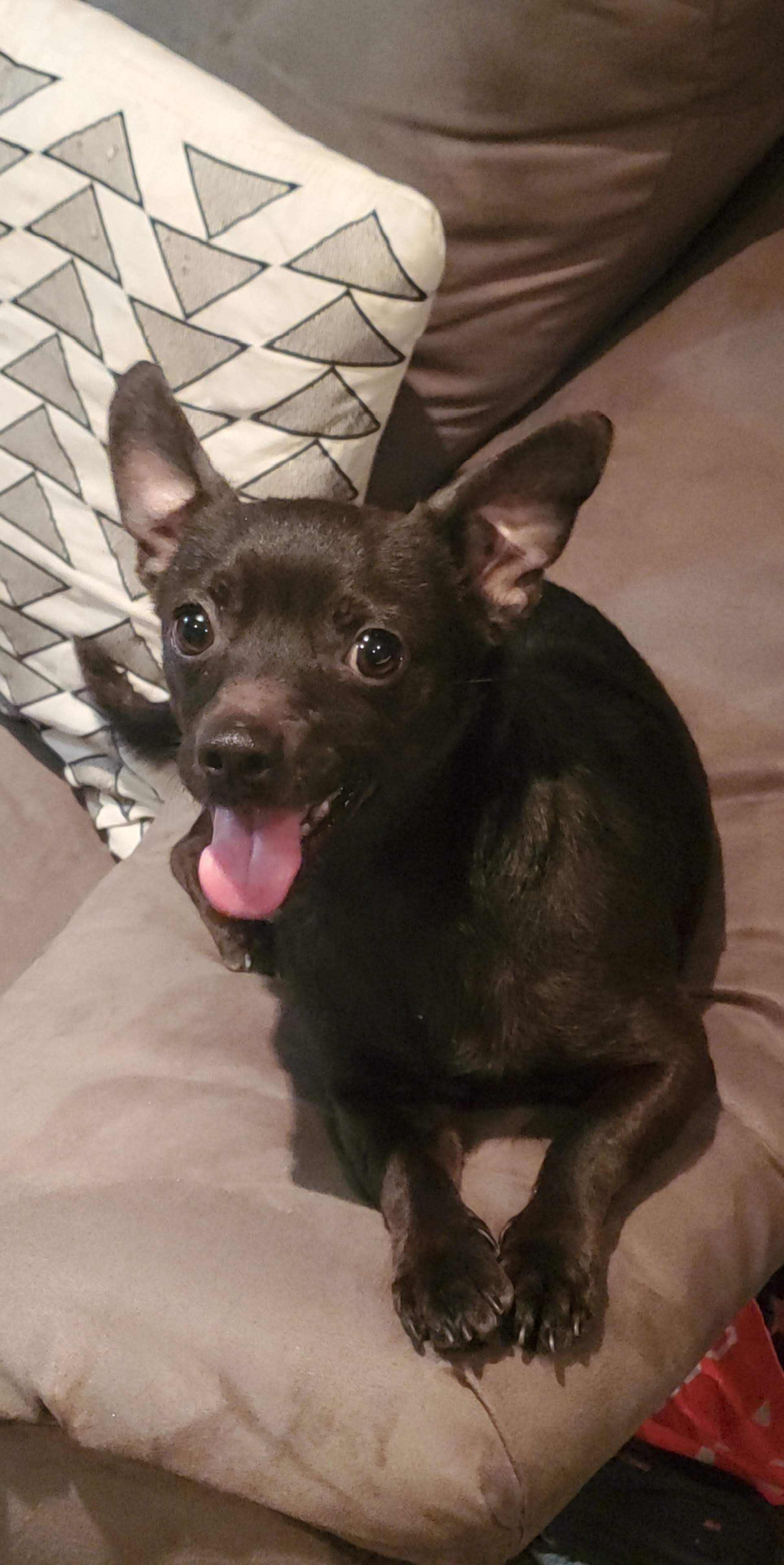 Remy