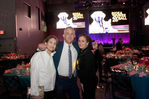 Bideawee Ball 2026