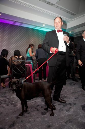 Bideawee Ball 2026