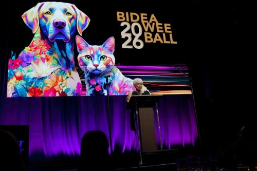 Bideawee Ball 2026