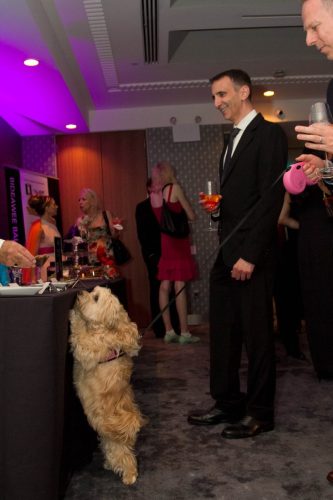 Bideawee Ball 2026