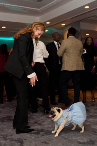 Bideawee Ball 2026