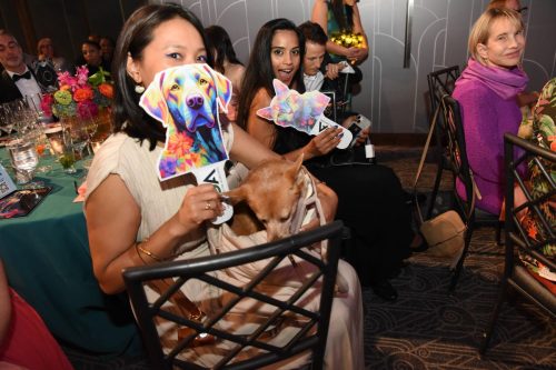 Bideawee Ball 2026